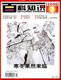 2008 No. 05 