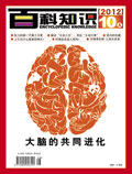 2012 No. 19 