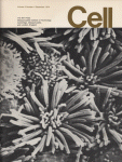Dec 01, 1974 