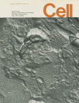 Jun 01, 1975 