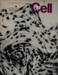 Jul 01, 1975 