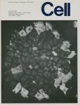 Dec 01, 1976 