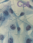 Jul 01, 1978 