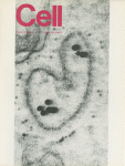 Oct 01, 1981 