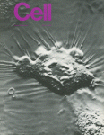 Jan 01, 1982 