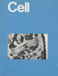 Jul 01, 1982 