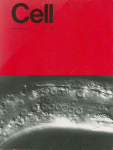 Aug 01, 1982 