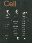 Nov 01, 1982 