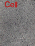 Jun 01, 1983 