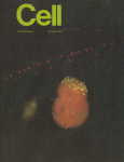 Nov 01, 1983 