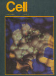 Jul 01, 1984 