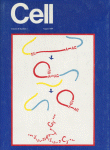 Aug 01, 1984 