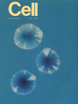 Apr 11, 1986 