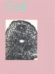 Jun 06, 1986 