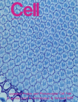 Jul 29, 1988 