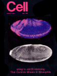 Apr 07, 1989 