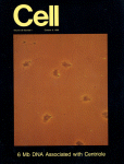 Oct 06, 1989 