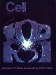 Apr 03, 1992 