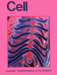 Apr 17, 1992 
