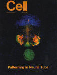 May 21, 1993 