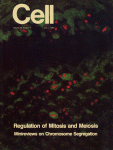 Jul 01, 1994 