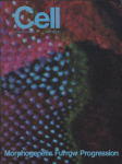 Mar 24, 1995 