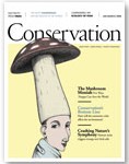 2009 No. 01 