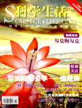 2011 No. 11 