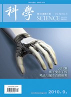 2010 No. 05 