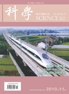 2010 No. 06 