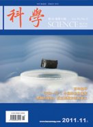 2011 No. 06 
