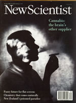 Jul 31, 1993 