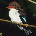 Jun 2007 