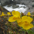 Sep 2010 