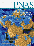 Mar 28, 2006 