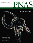 Jan 08, 2008 