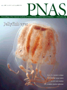 Jul 01, 2008 