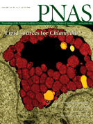 Jul 08, 2008 