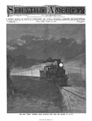 1891 No. 15 