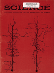 May 19, 1978 