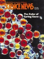 May 20, 2000 