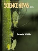 May 19, 2001 