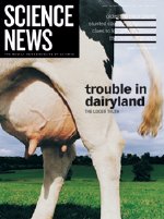 Jul 12, 2003 