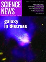 Feb 21, 2004 
