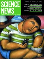 Feb 28, 2004 
