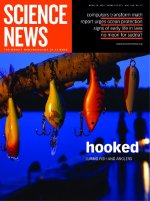 Apr 24, 2004 