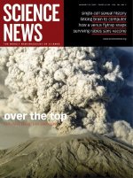 Jan 29, 2005 