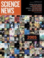 Dec 24, 2005 