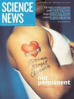 Oct 13, 2007 