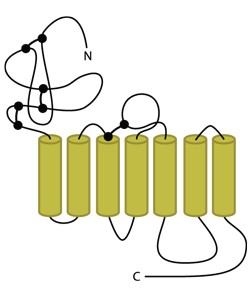 2005 No. 0279 